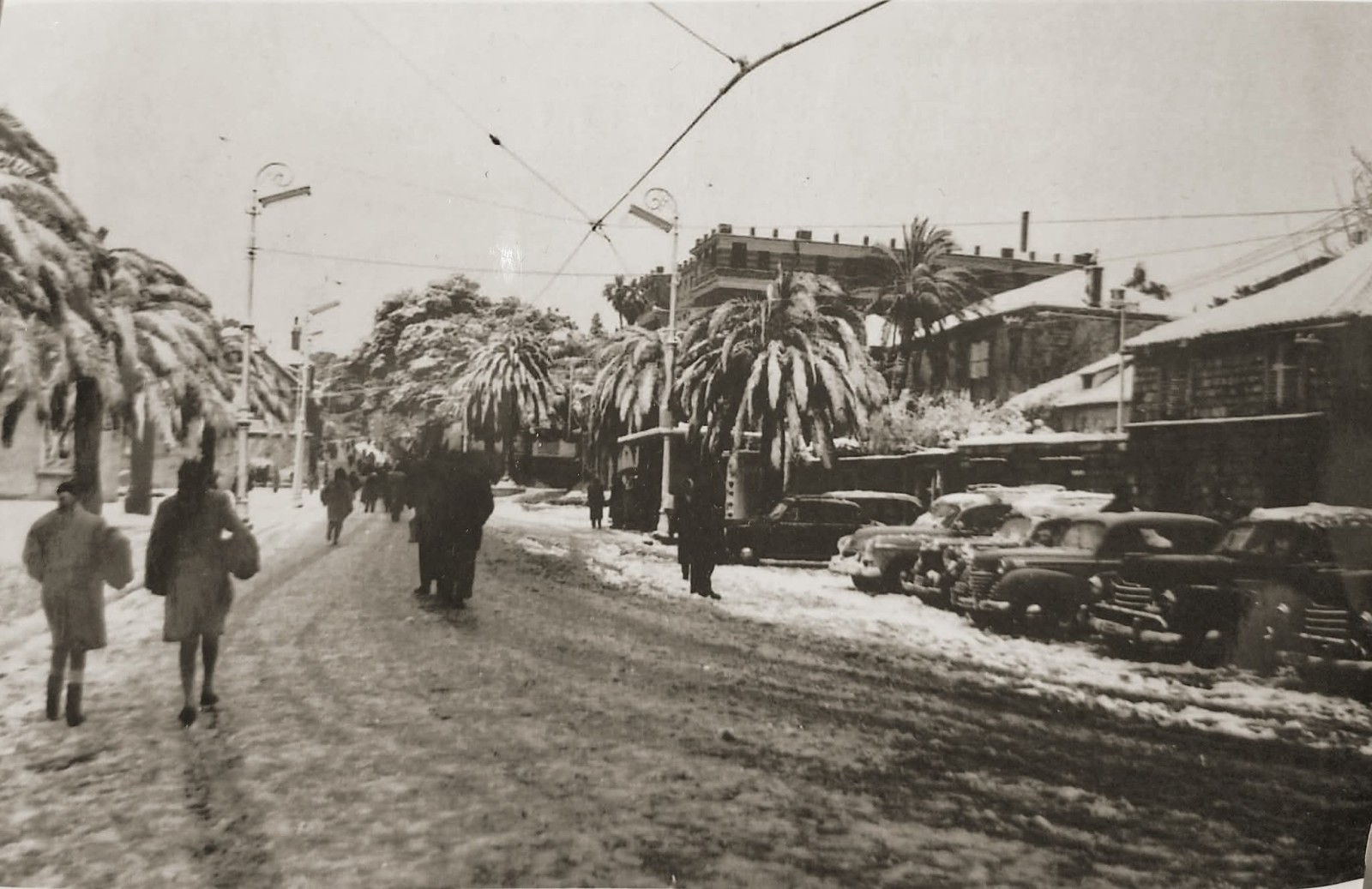 WhatsApp Image 2026-01-13 at 11.11.09.jpeg